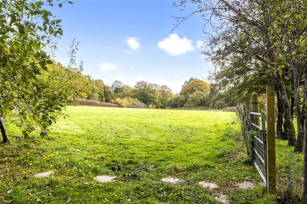 Field