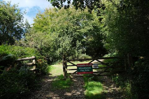 undefined, Chelson Lane, Harcombe EX10