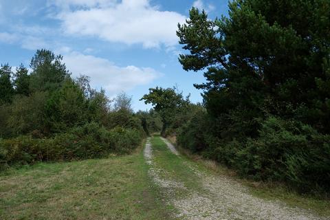 undefined, Chelson Lane, Harcombe EX10