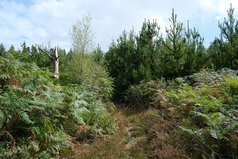 undefined, Chelson Lane, Harcombe EX10