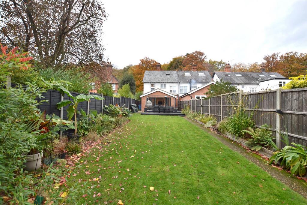 Garden 3.JPG