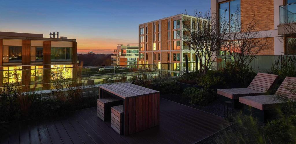 Roof Terrace