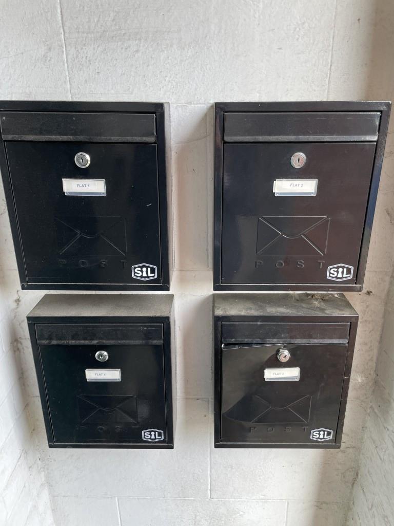 5 Medium T202511041108.jpg