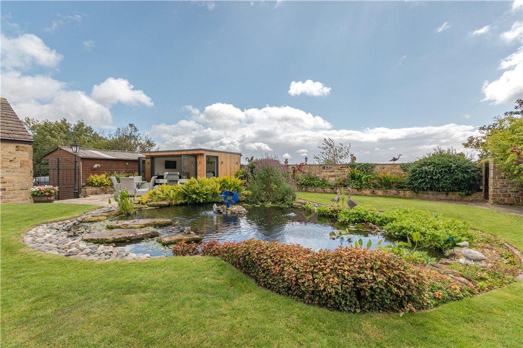 Feature Pond