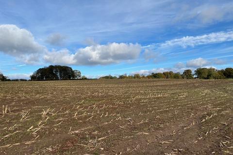 Land for sale, 58.35 Acres approx of Prime Grade II Arable Land situated at Sharow, Ripon