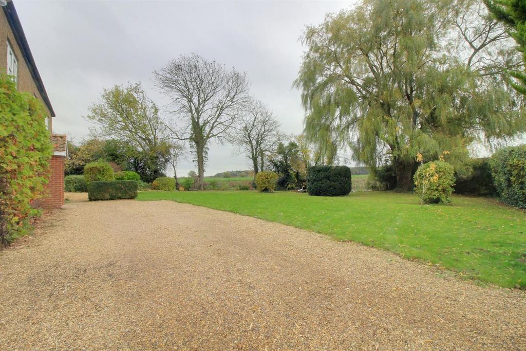 Front Garden 2.jpg