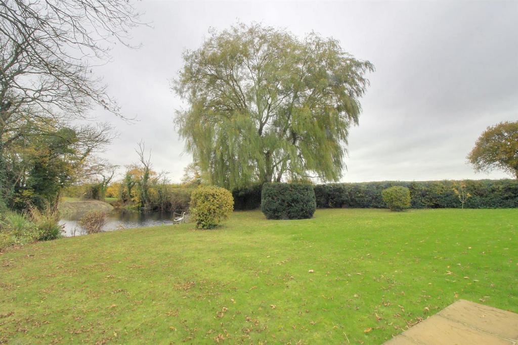 Front Garden.jpg
