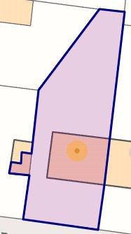 Outline Of Beech