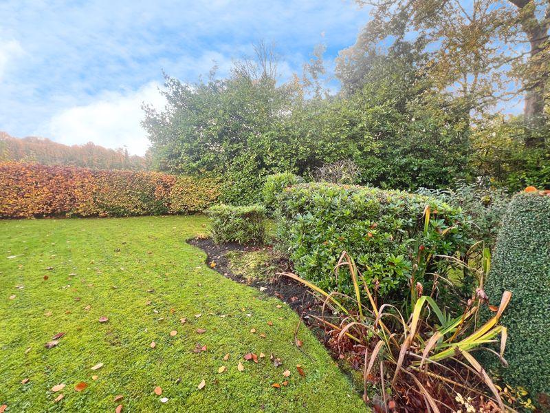 Communal Grounds
