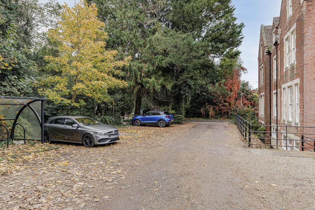 Driveway
