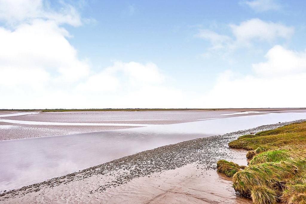 Estuary