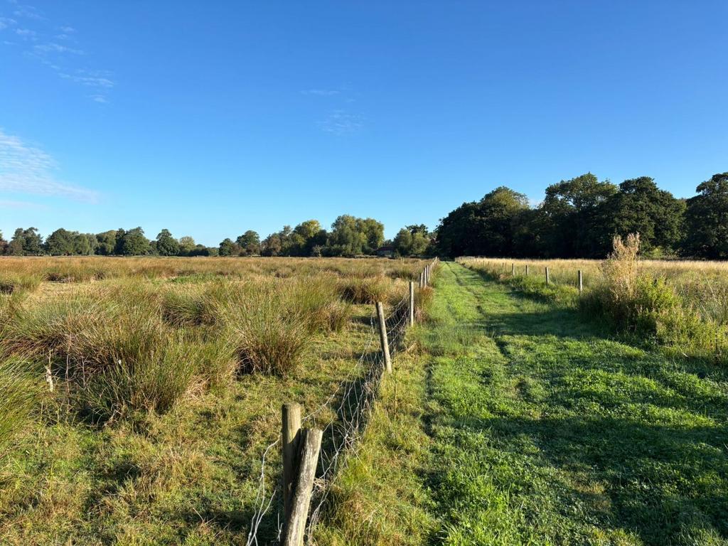 Land