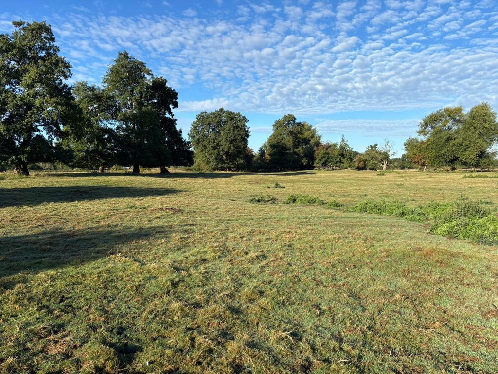 Land
