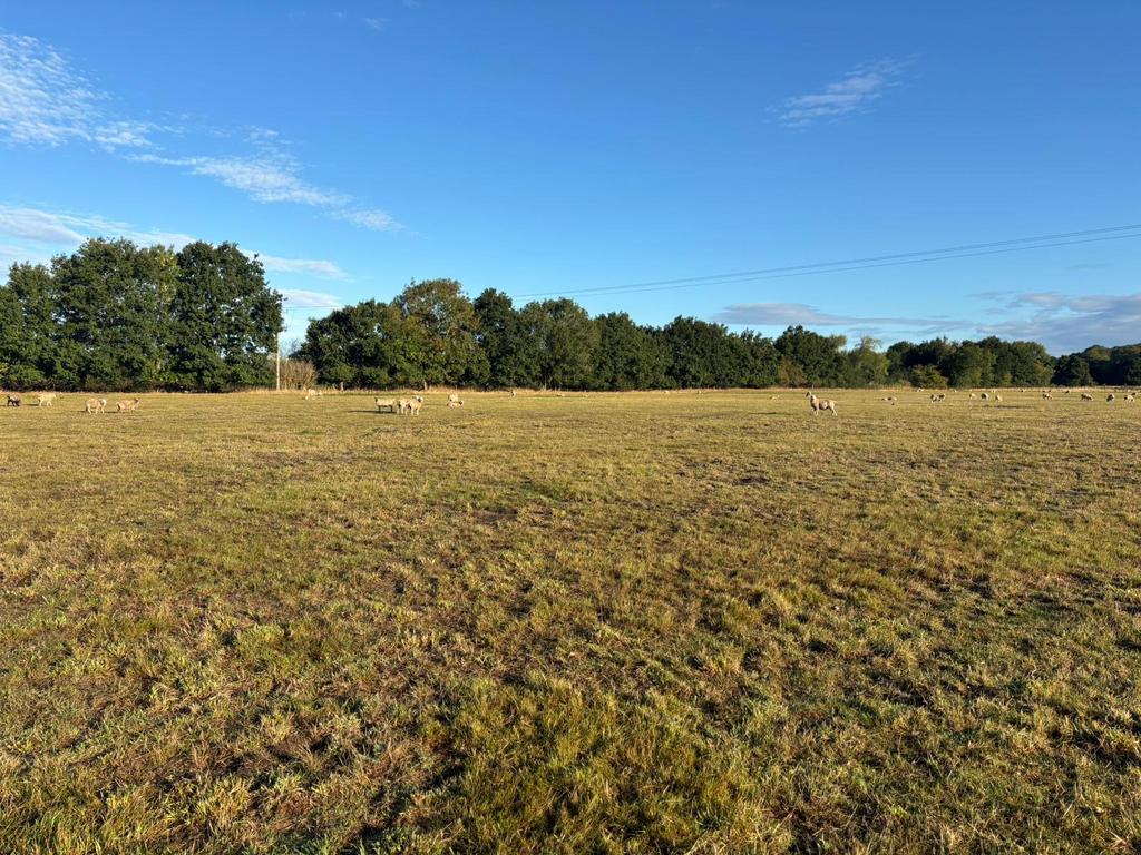 Land