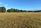 Additional image 8 of Land At Mill Farm | LOT 1, Bonner Lane, Calverton, Nottingham, NG14