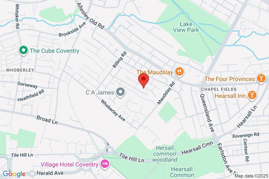 Google Maps Image
