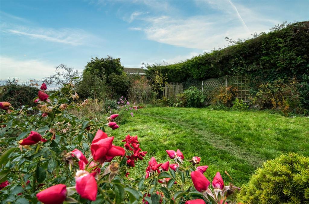 Garden - lawn.jpg