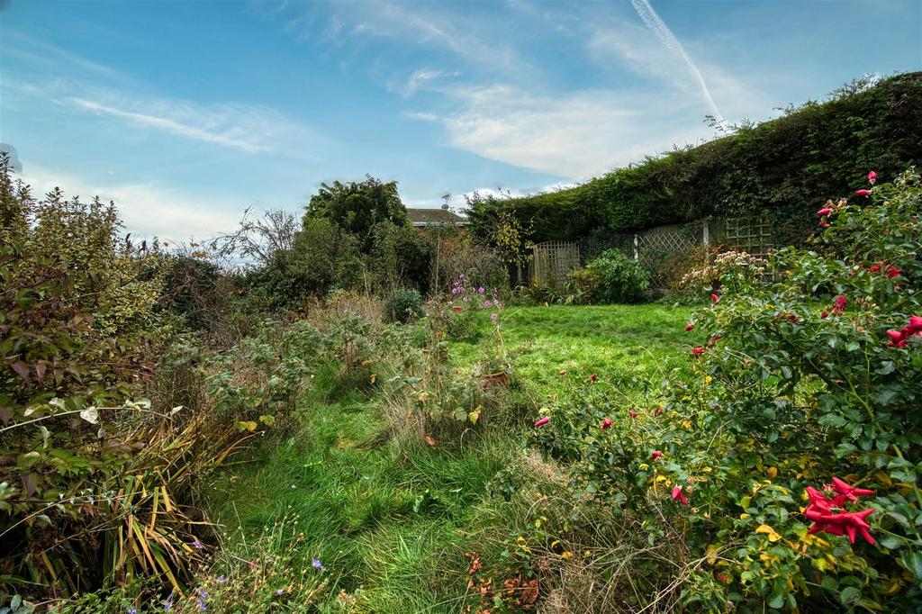 Garden - plants and lawn.jpg
