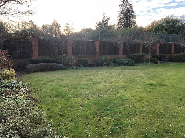 Garden.jpg