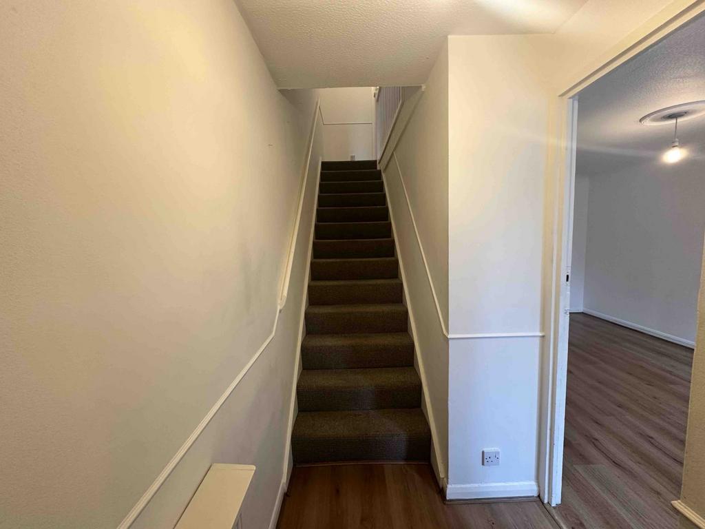 Downstairs Hallway
