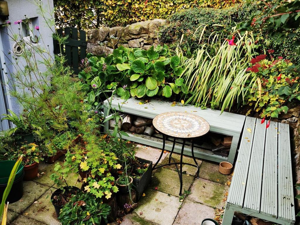 IMG 20251030 104708 copy.jpg