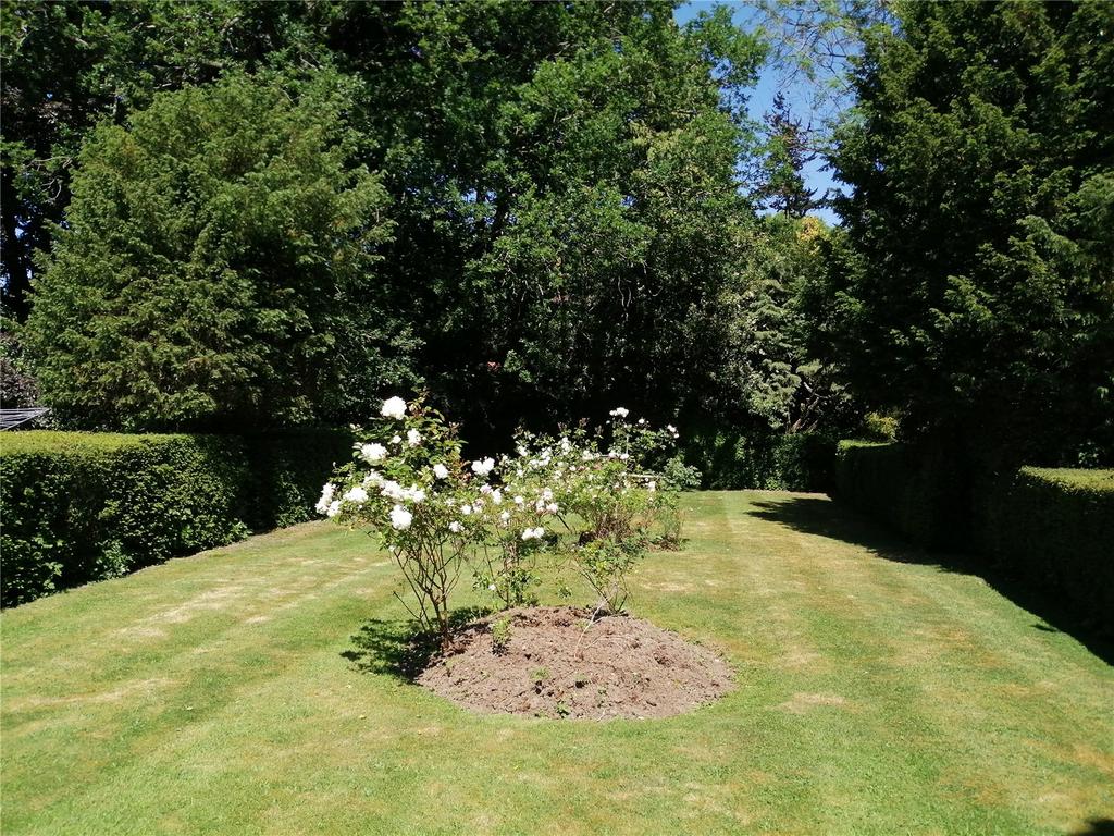 Garden In Summer