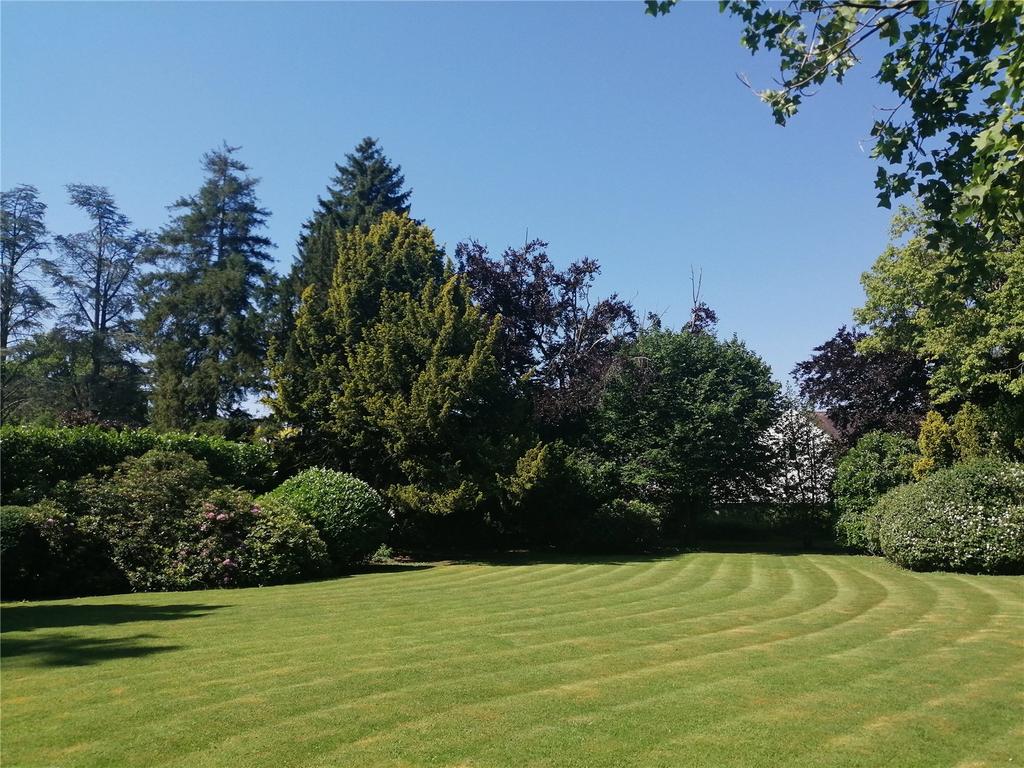Garden In Summer