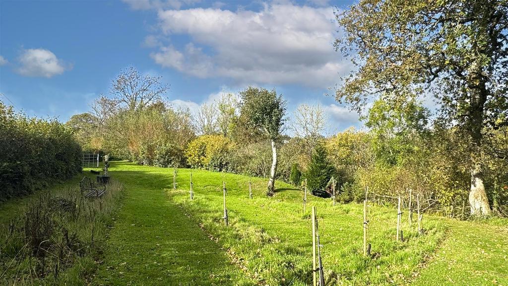 Orchard 2.jpg