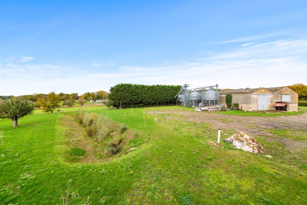 View From Wetlands Pond