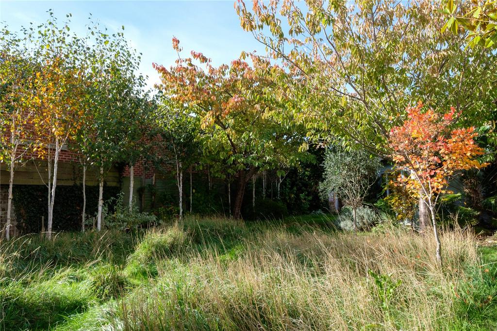 Wildflower garden