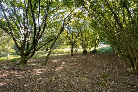 undefined, Argos Hill, Rotherfield
