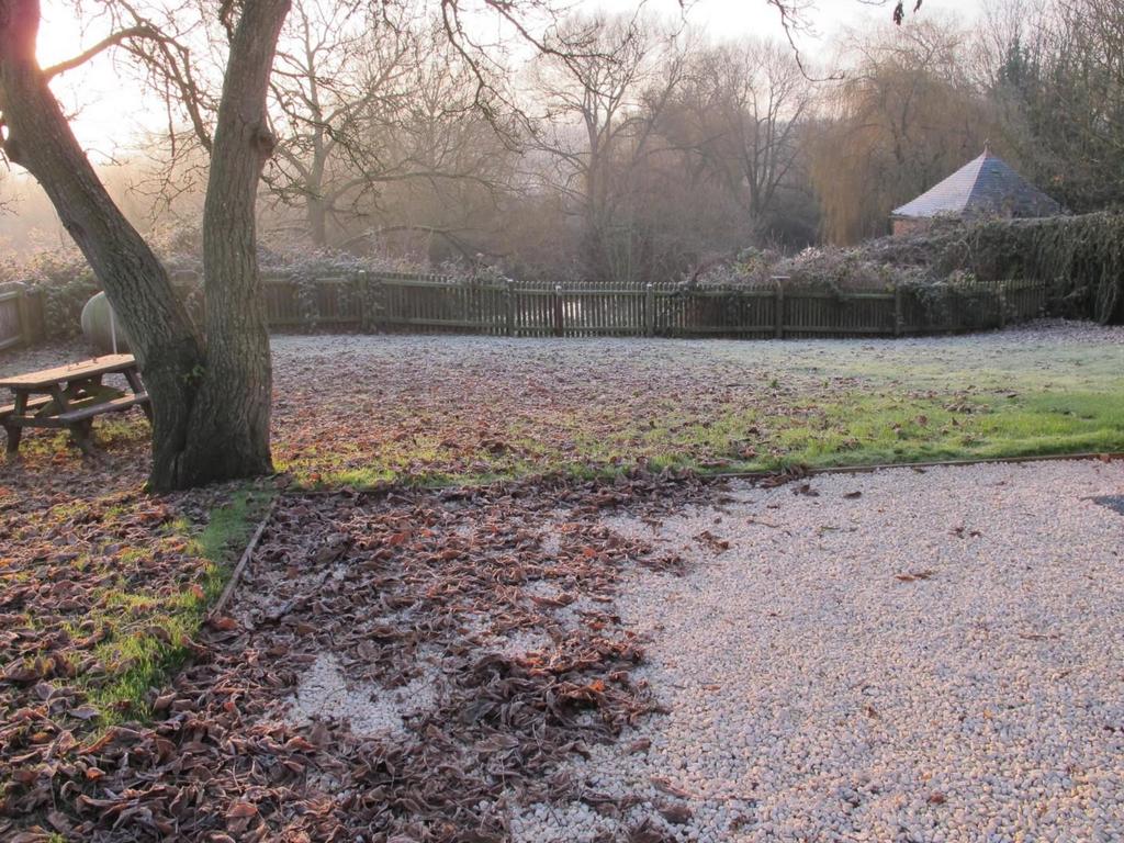 Rear Garden.jpg