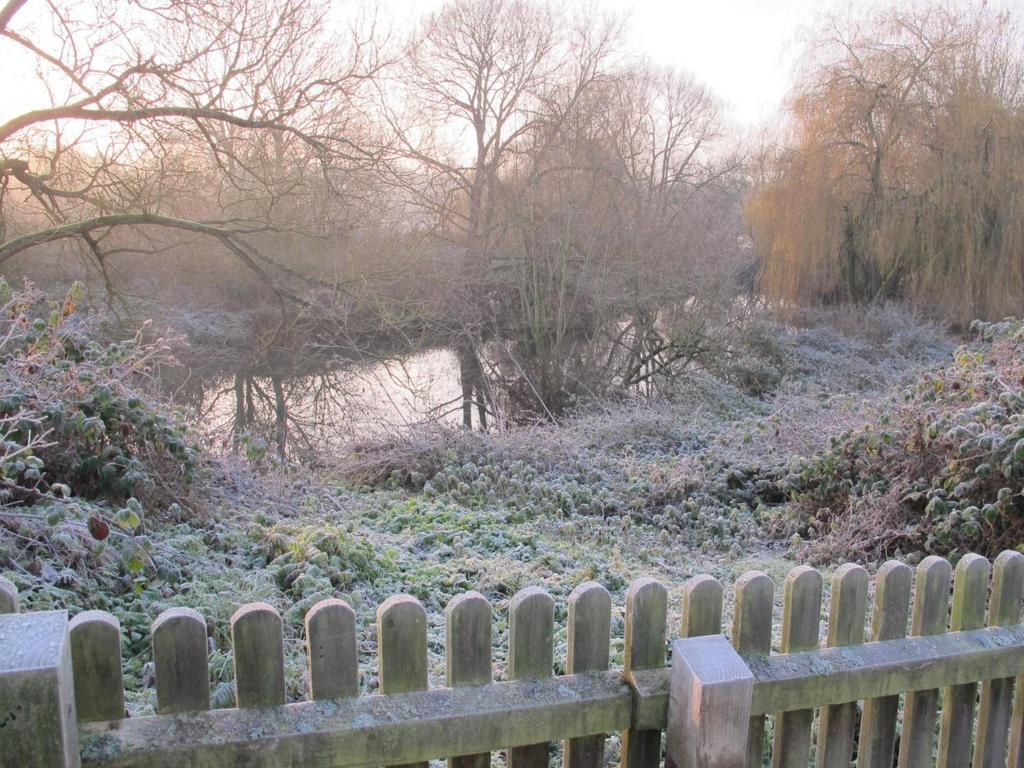 River.jpg
