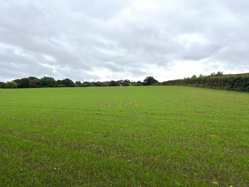 Land At Down St Mary