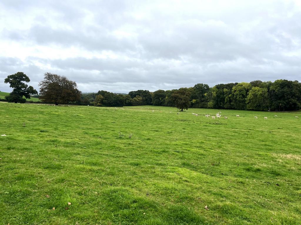 Lot 1