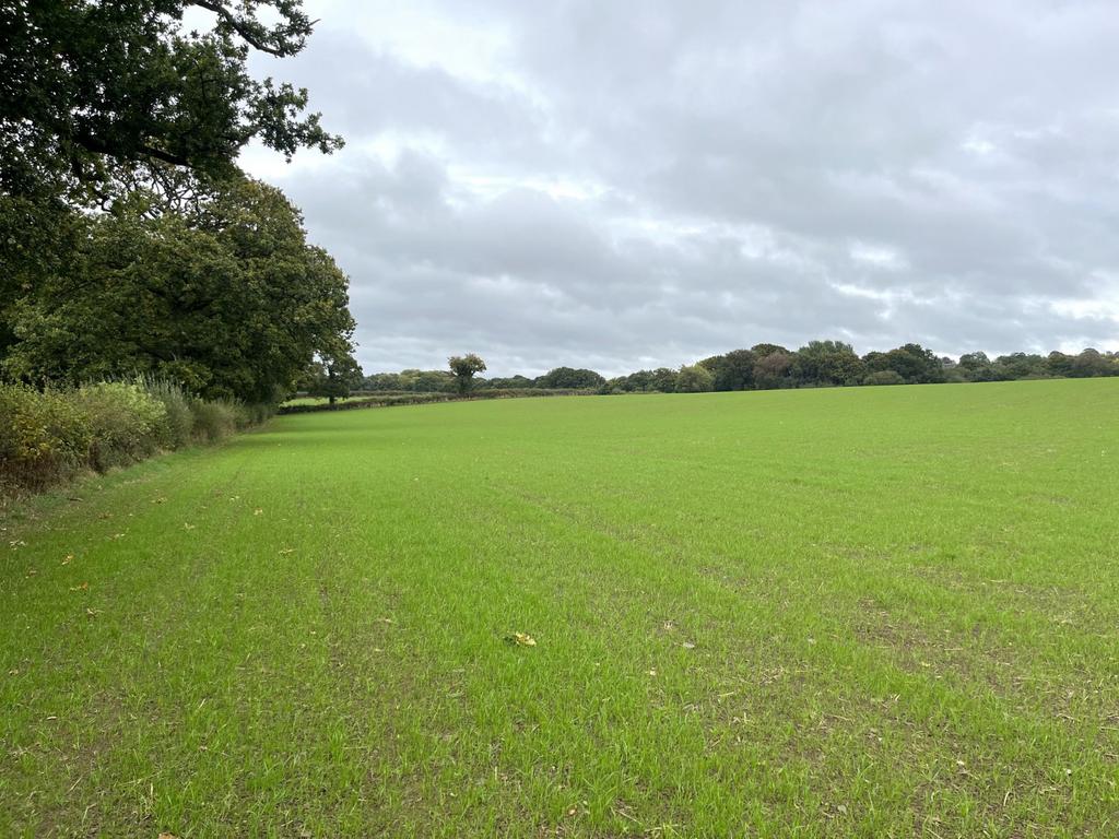 Lot 1