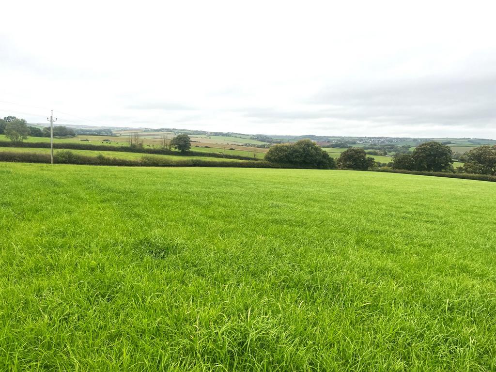 Lot 2