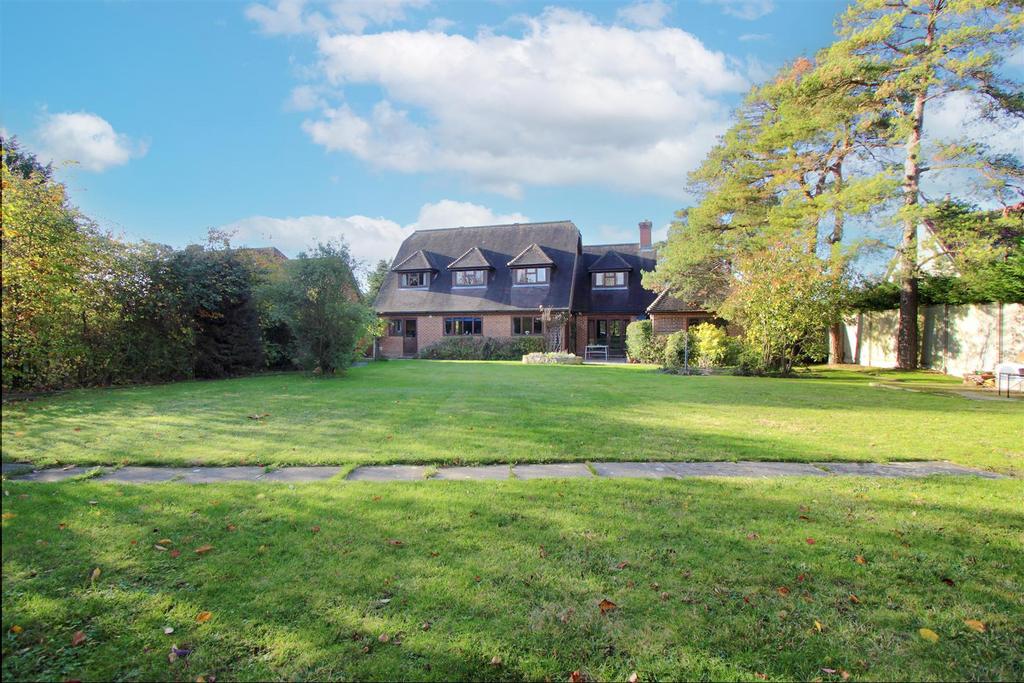 Rear Garden c.JPG