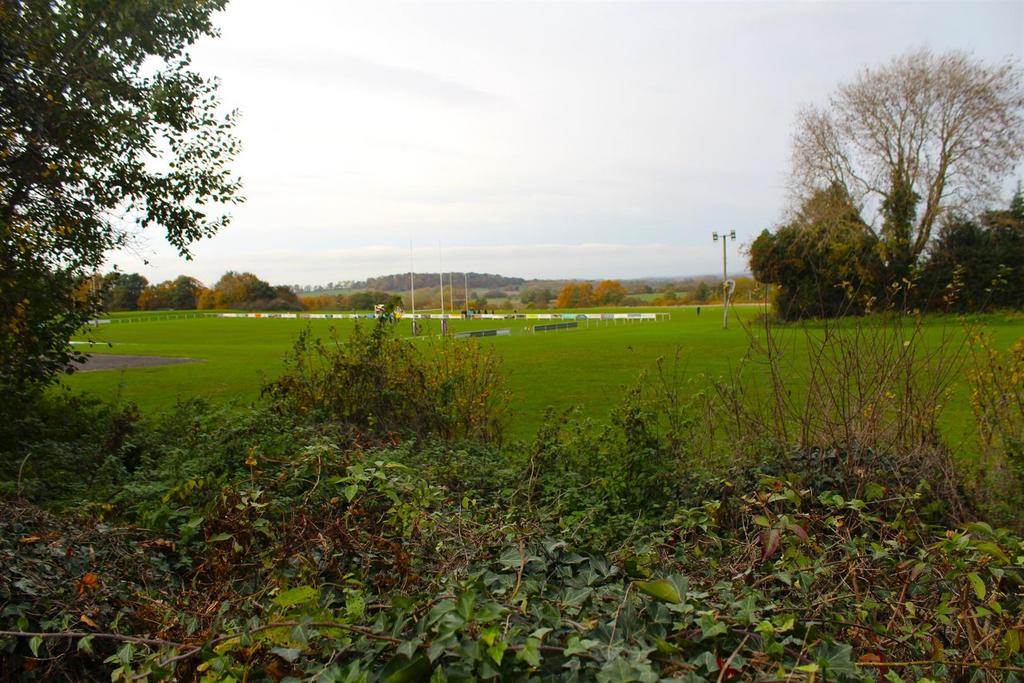 Img 0779.jpg