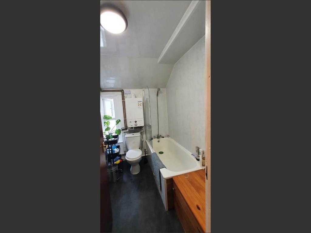 Picture6