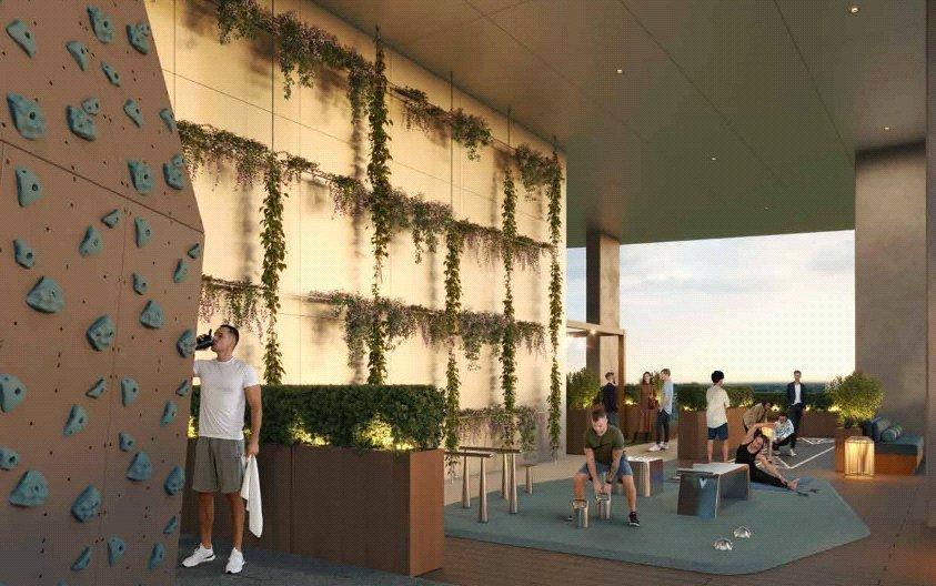 The Wellness Deck