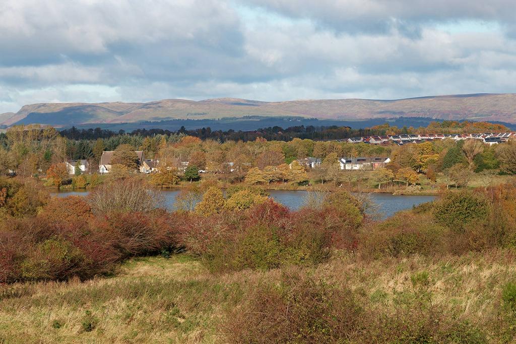 MFL0240752 373.jpg