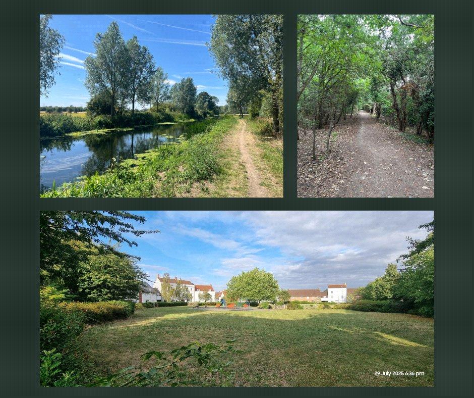 Around The Area