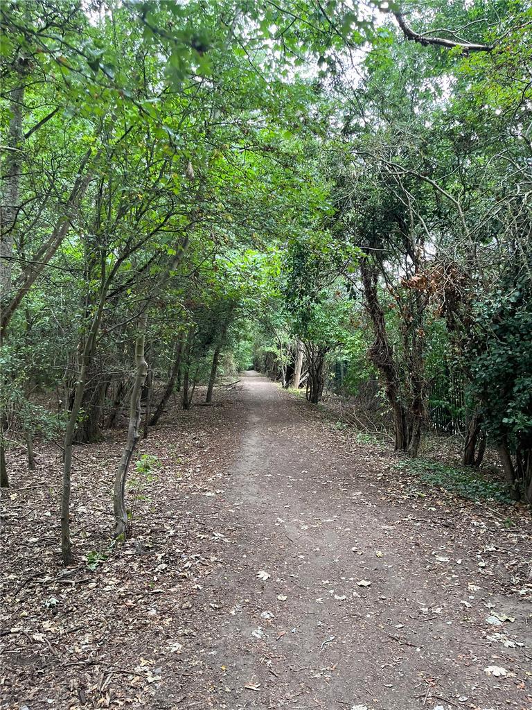 Around The Area