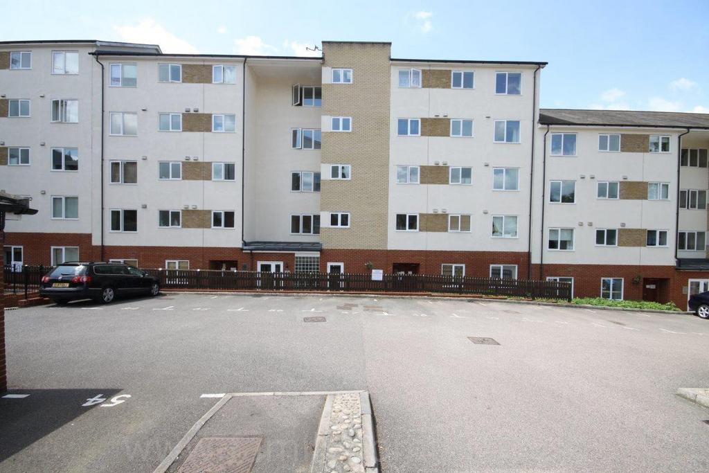 The Property