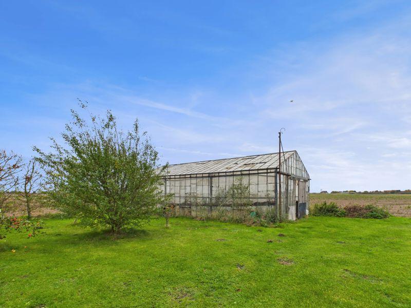 Large Glasshouse
