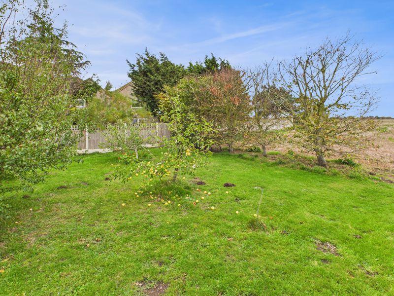 Small Orchard
