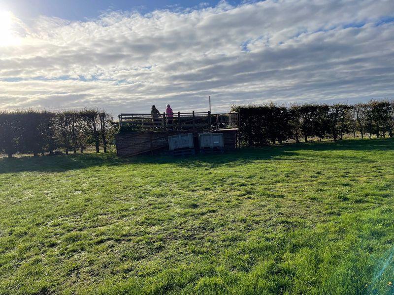 Viewing Platform