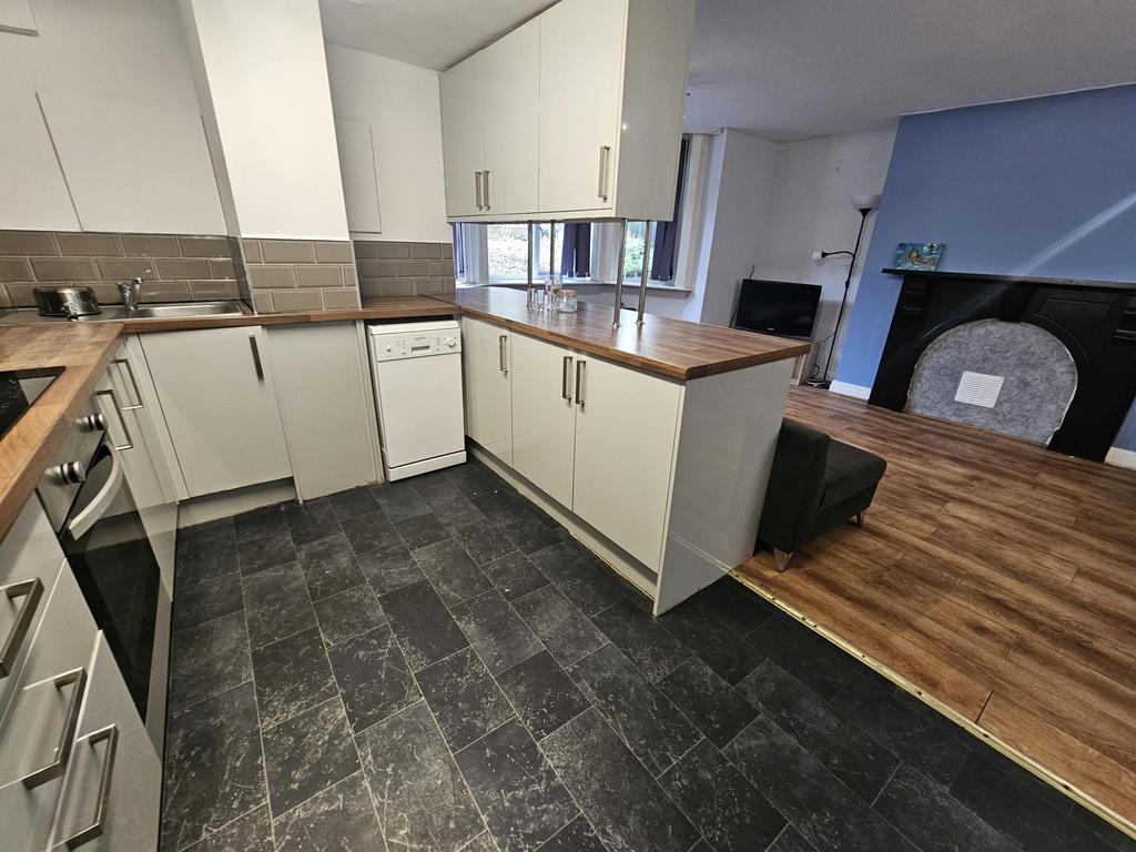 Modern kitchen with integrated appliances, ligh...