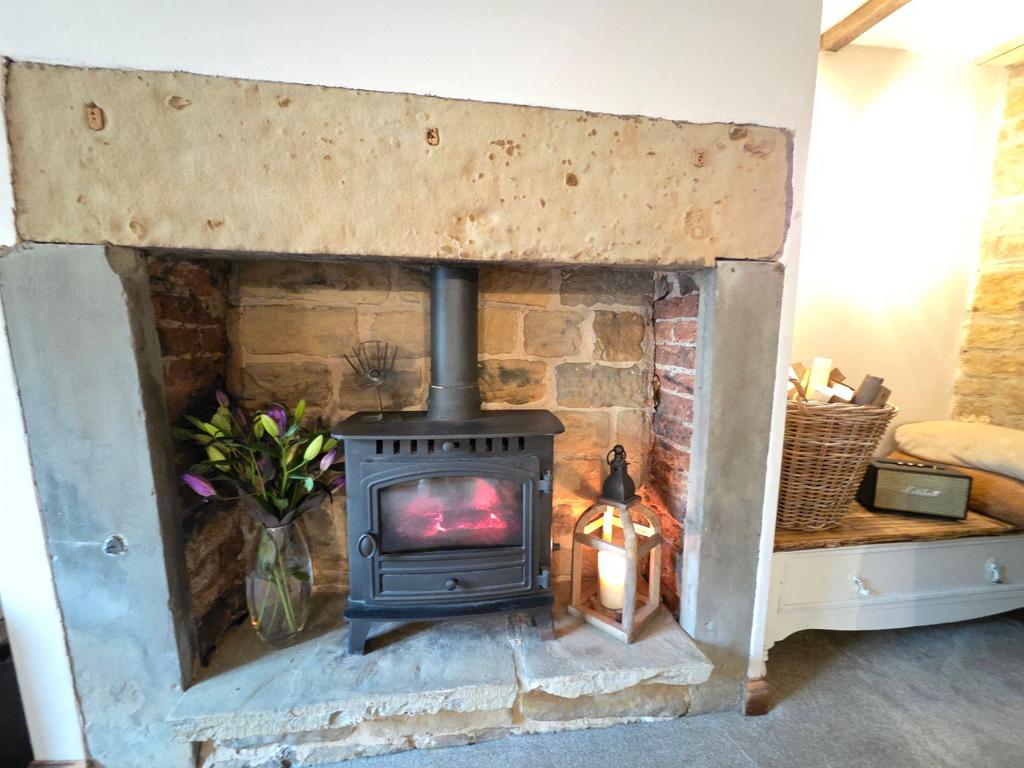Living room stove